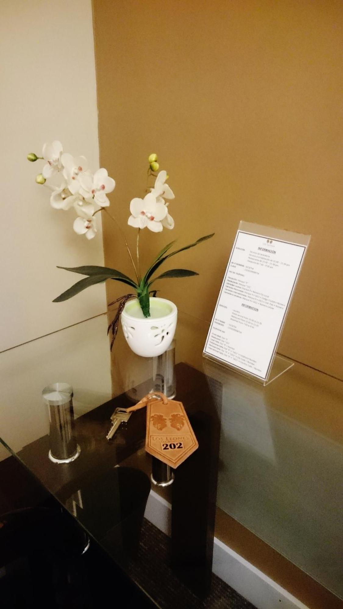 Los Leones Hotel Boutique Yanahuara Rom bilde